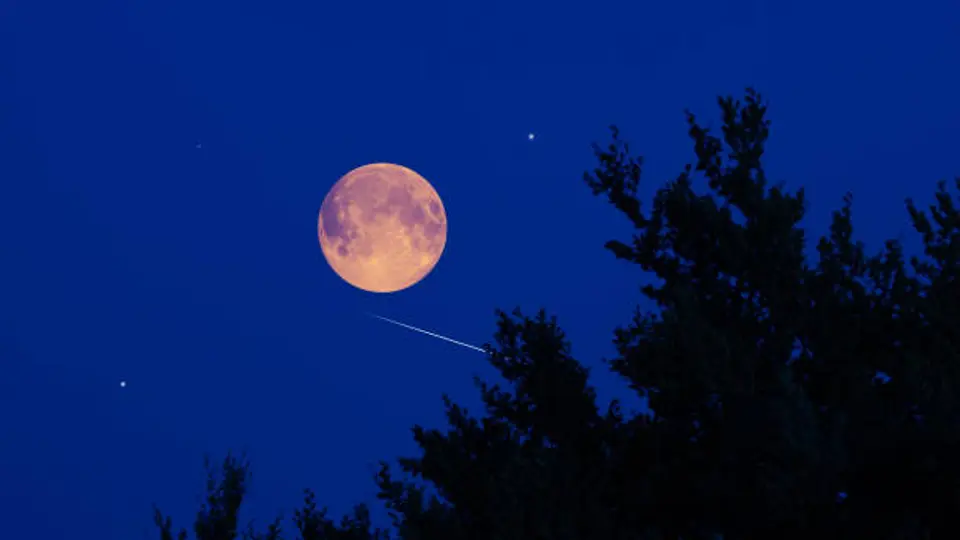 Calendario lunar de febrero 2026 cuándo es luna llena y luna nueva