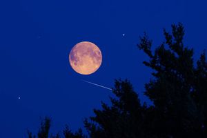 Calendario lunar de febrero 2026 cuándo es luna llena y luna nueva
