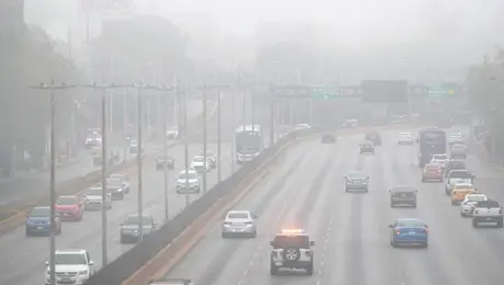 UNAM explica el clima extremo en México y las causas del frío inusual registrado este invierno