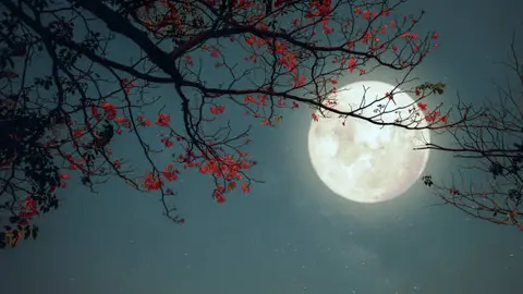 La luna nueva del 17 de febrero marca el inicio de un nuevo ciclo lunar y no será visible en el cielo nocturno./ Pixabay