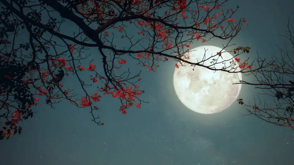 La luna nueva del 17 de febrero marca el inicio de un nuevo ciclo lunar y no será visible en el cielo nocturno./ Pixabay