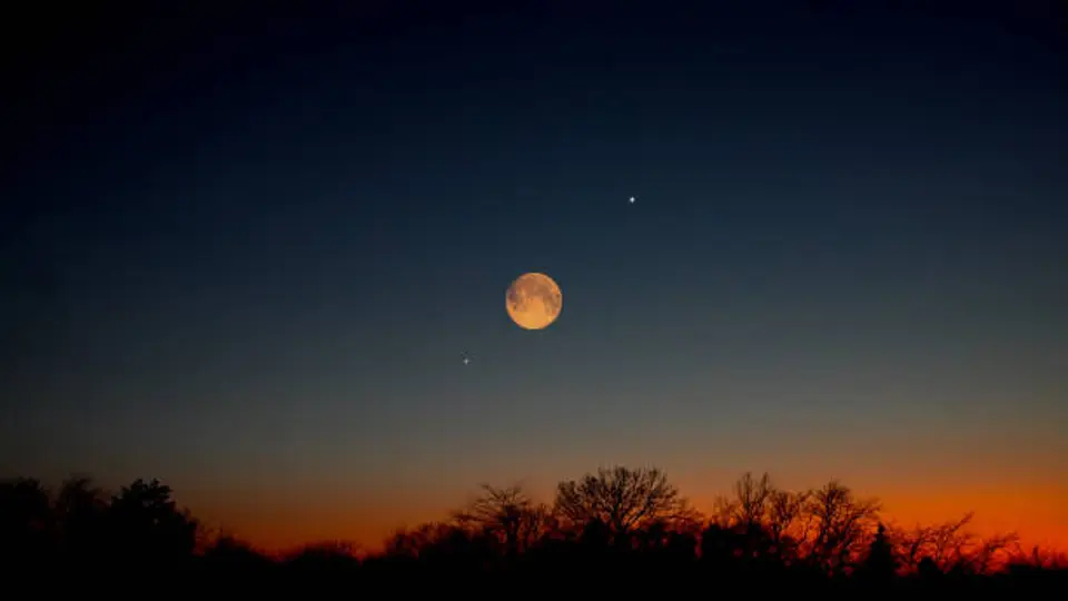 El cuarto menguante se registrará el 9 de febrero, cuando solo la mitad de la Luna será visible desde la Tierra./ Pixabay