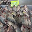 Precios de pescados en La Nueva Viga 2026: cuánto cuesta el kilo en Semana Santa