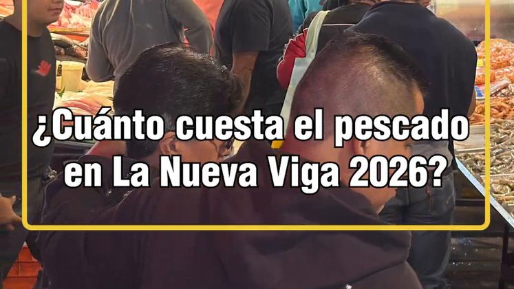 ¿Cuánto cuesta el pescado en la nueva viga 2026?