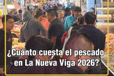 ¿Cuánto cuesta el pescado en la nueva viga 2026?