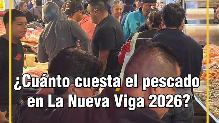 ¿Cuánto cuesta el pescado en la nueva viga 2026?