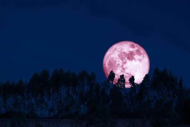 La Luna llena de Fresa recibe su nombre por antiguas tradiciones agrícolas vinculadas con la cosecha de fresas en Norteamérica./ Pixabay