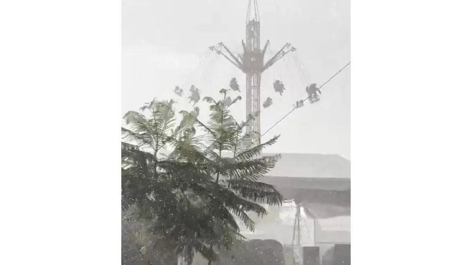 El momento fue captado en video. / Captura