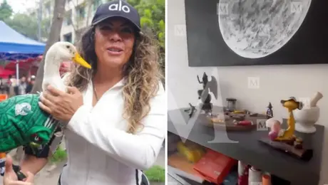 ¿Quién es Baphomet? La figura que apareció en la casa de la dueña del Pato Merlín