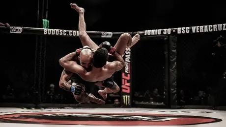 RÉCORD transmitirá BUDO Sento Championship 36: horarios, peleas y cómo ver EN VIVO la función
