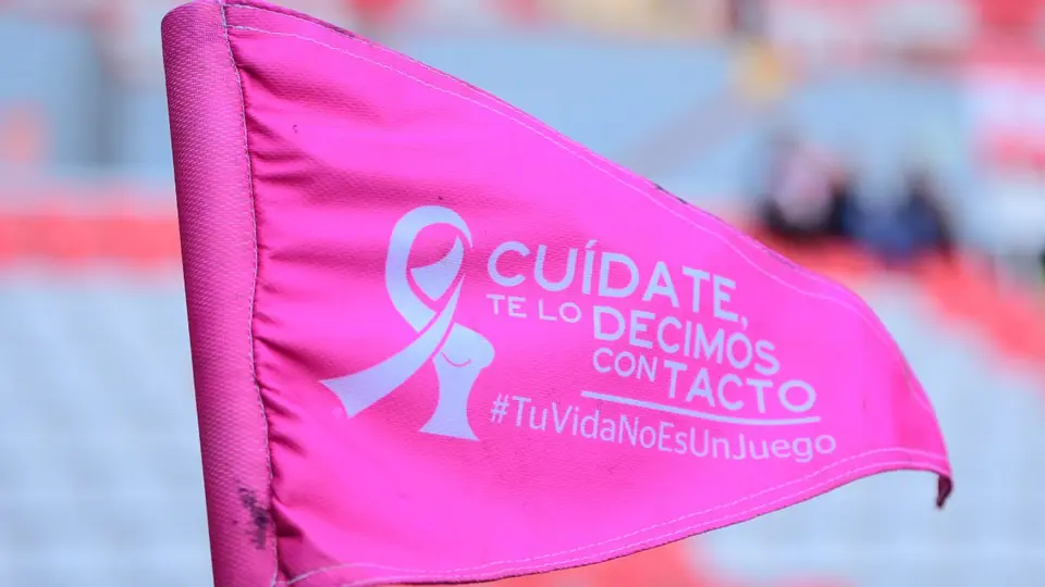 Banderín de la Campaña Rosa de la Liga MX en 2025 | IMAGO 7