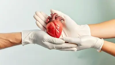 Así fue la histórica cirugía de corazón con células madre realizada en Japón