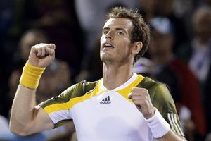 Murray enfrentará a Ferrer en la Final de Miami