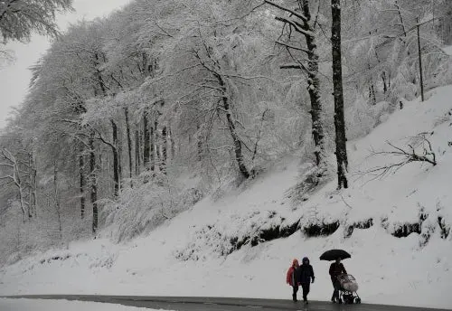 Excursionista mexicano muere en Campos de Hielo del sur argentino