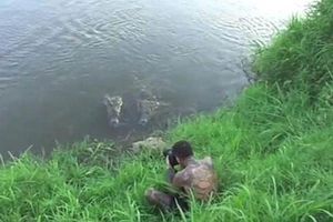 Fotógrafo se salva de ser comido por un cocodrilo