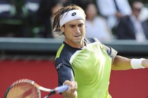 Ferrer, a semifinales del torneo de Valencia