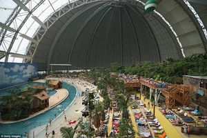 Oasis playero en medio de la nieve