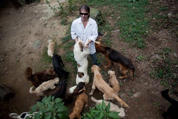 Rafael ha ayudado a perros de la calle, en situación de abandono | ESPECIAL