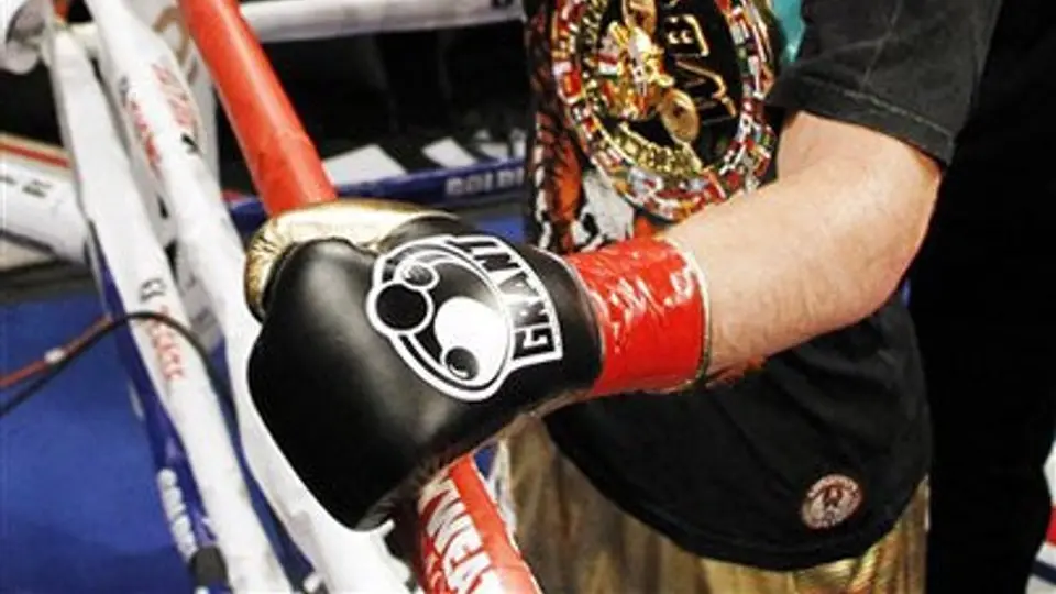 'Canelo' retuvo sin problemas ante Alfonso Gómez