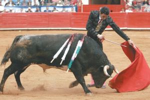 Martínez prepara su debut en la Temporada Grande en La Monumental