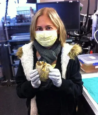 Sobreviviente de transplante se toma foto con su antiguo corazón