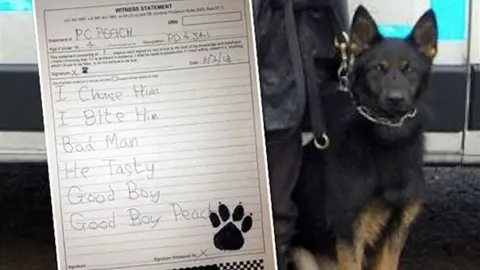 Perro Policía obligado a 'escribir' una declaración a la corte