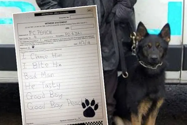 Perro Policía obligado a 'escribir' una declaración a la corte