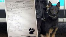 Perro Policía obligado a 'escribir' una declaración a la corte