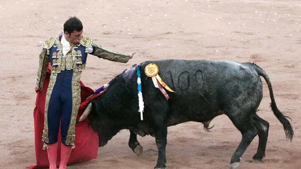 El Serial de Toros por Nuevo León cerca de definirse