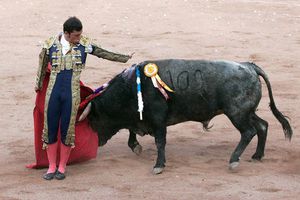 El Serial de Toros por Nuevo León cerca de definirse