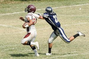 Blanquean los Leones de la Metro a los Toros Salvajes
