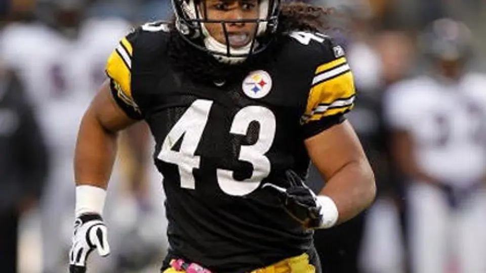 Polamalu, defensivo del año en la NFL para la prensa