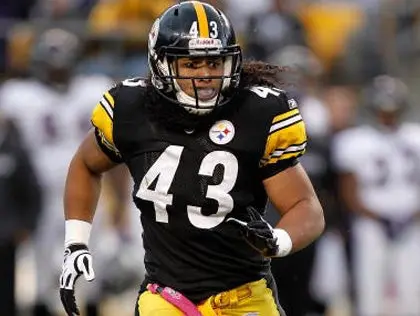 Polamalu, defensivo del año en la NFL para la prensa