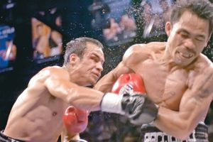 Roach ve a Juan Manuel Márquez para Pacquiao