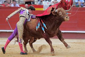 Arturo Saldívar, triunfador en Valencia al cortar dos orejas