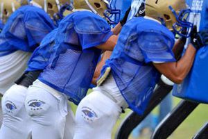 Auténticos Tigres estará de gira  por Estados Unidos