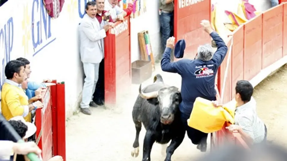 Fallece monosabio embestido en Guadalajara
