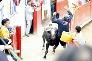 Fallece monosabio embestido en Guadalajara