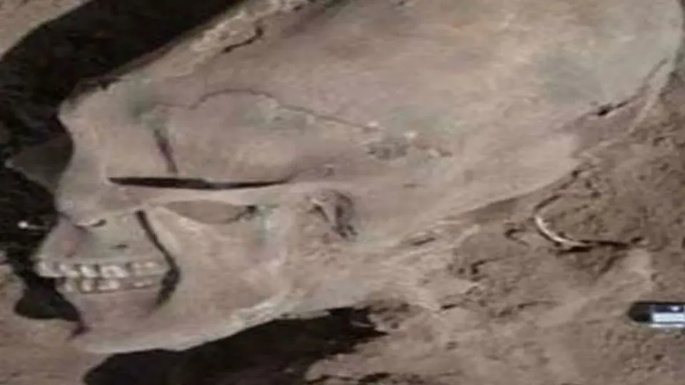Descubren un cráneo con forma alienígena en Sonora