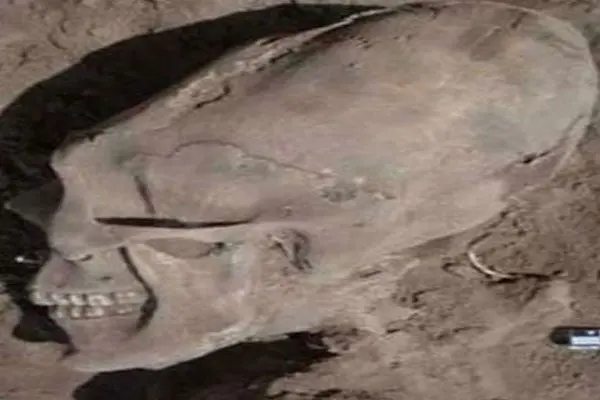 Descubren un cráneo con forma alienígena en Sonora
