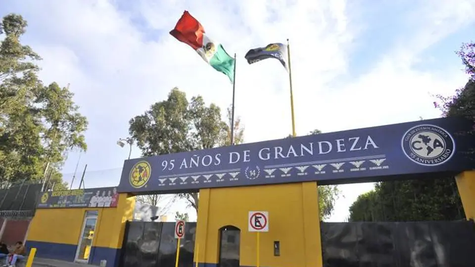 Camello patea y mata a mujer frente a Coapa
