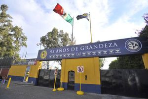 Camello patea y mata a mujer frente a Coapa