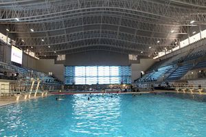 México será la sede del Campeonato Mundial de Natación 2017