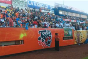 Tigres festejó el título ante su afición