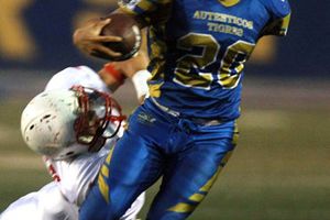 Auténticos Tigres se dan un festín