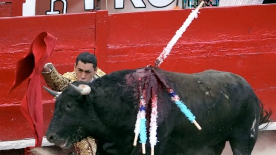 Proponen en Coahuila prohibir las corridas de toros; advierten desempleo