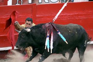 Proponen en Coahuila prohibir las corridas de toros; advierten desempleo
