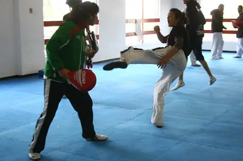 Listos Taekwondoínes mexicanos para el Panamericano