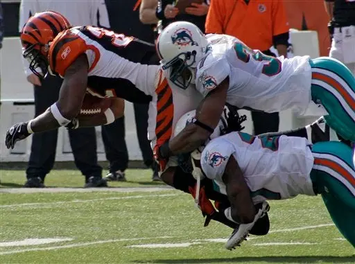 Delfines remonta y vence 22-14 a Cincinnati