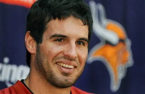 Los Vikingos sientan a McNabb